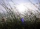 Thumbnail 012__IMG_1955.jpg