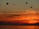Thumbnail 022__Sylt_168.jpg